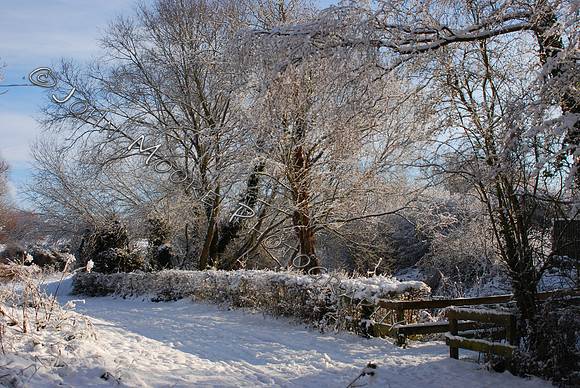DSC_0487.JPG