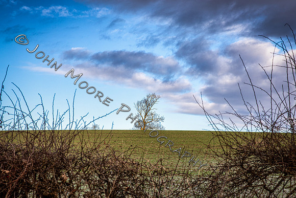 BP5A2889-Edit