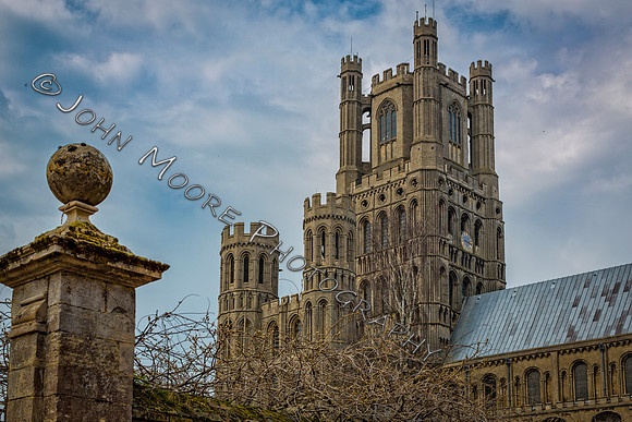 _MG_2266