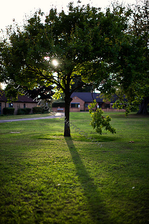 IMG_2863-Edit