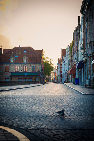 _MG_3727-Edit