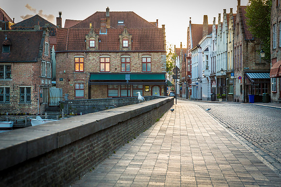 _MG_3729