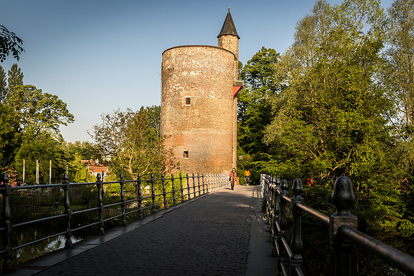 _MG_4245