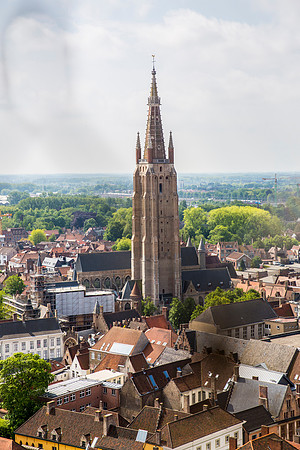 _MG_4449