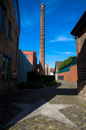 _MG_4495