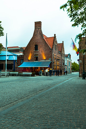 _MG_4633