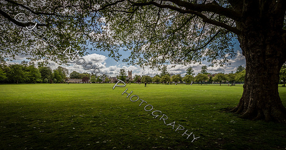 A91C4821-Pano-Edit-Edit