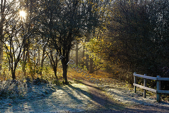 A91C9793-Edit