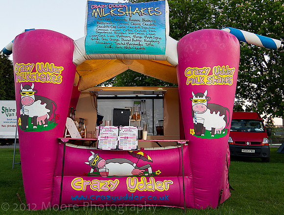 willow_fest-37
