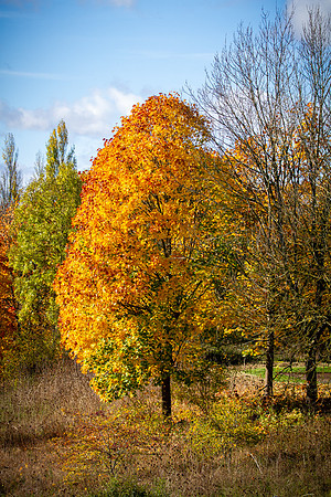 IMG_5912-3