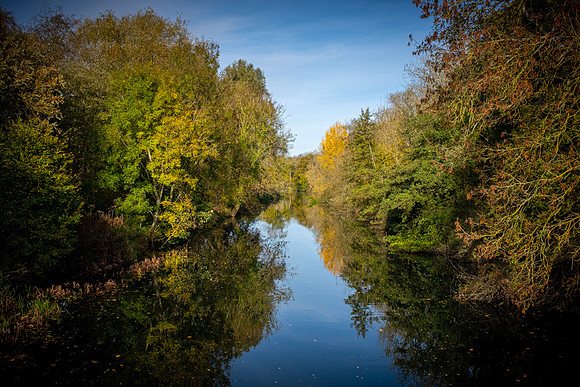 DSCF1316