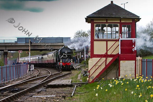 IMG_7245-Edit