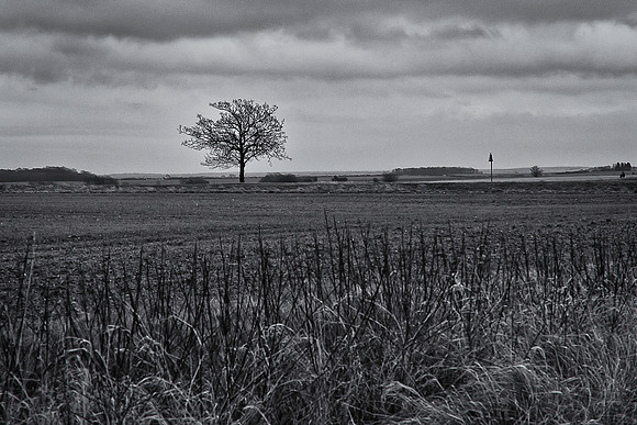 A91C1005-Edit