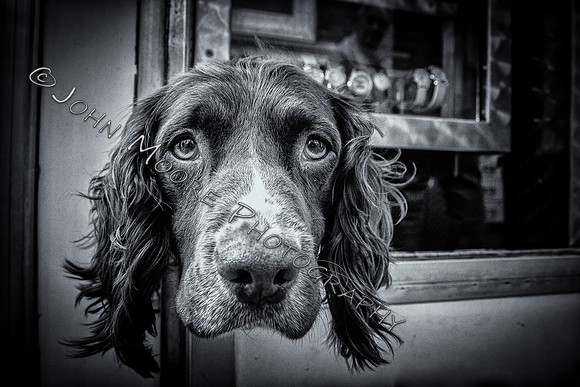_MG_9442-Edit