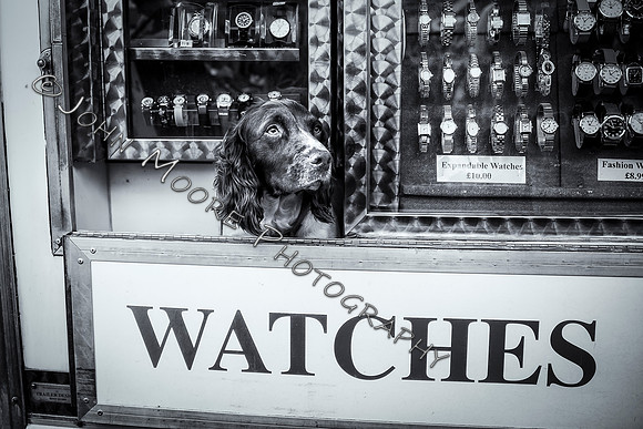 _MG_9670-Edit