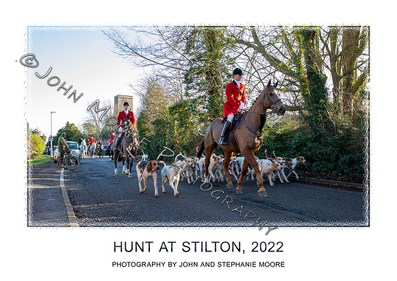 stilton 2022