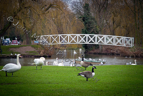 St_Neots_JM_230111_03
