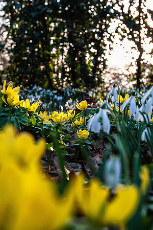 IMG_6398-Edit