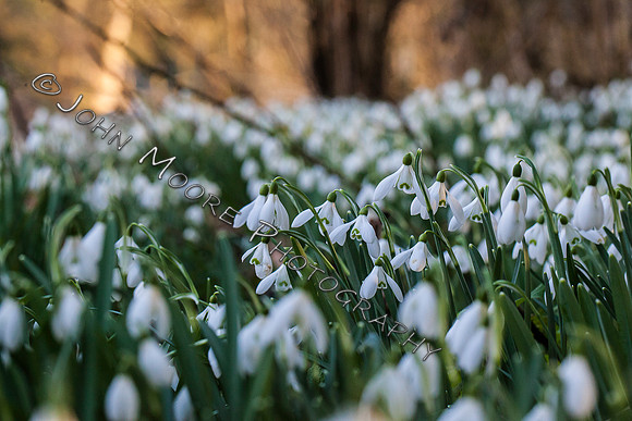 IMG_7214