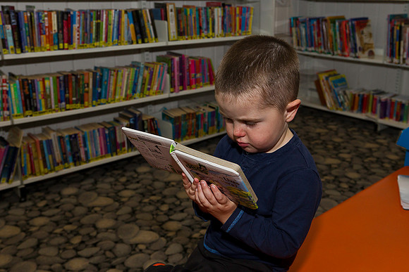 thorney_library_vivacity-3