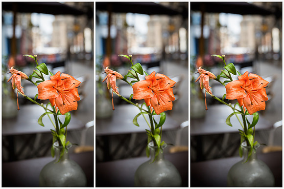 _MG_7737-Edit