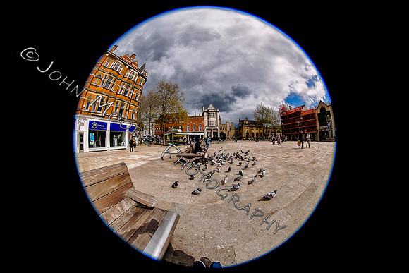IMG_8732-Edit