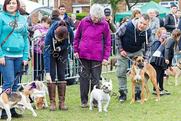 Yaxley Festival