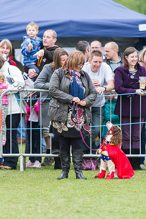 Yaxley Festival