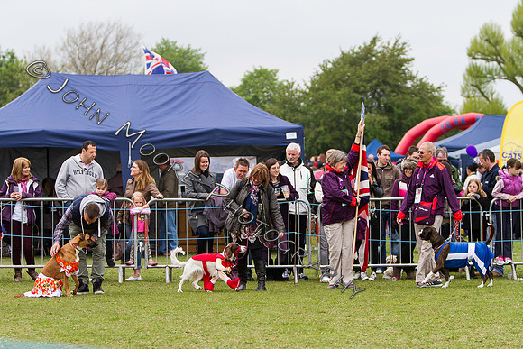 Yaxley Festival