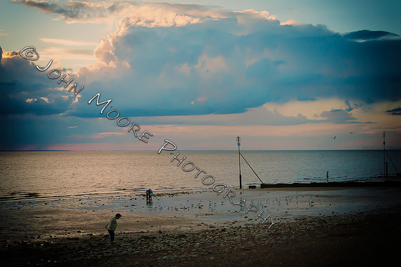 _MG_7864-Edit
