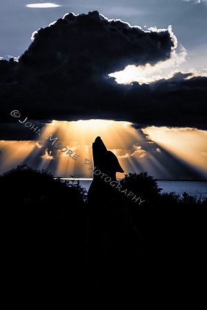 A91C4044-Edit