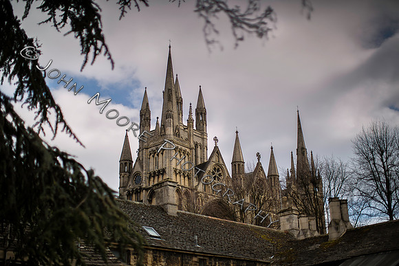 _MG_0726-Edit