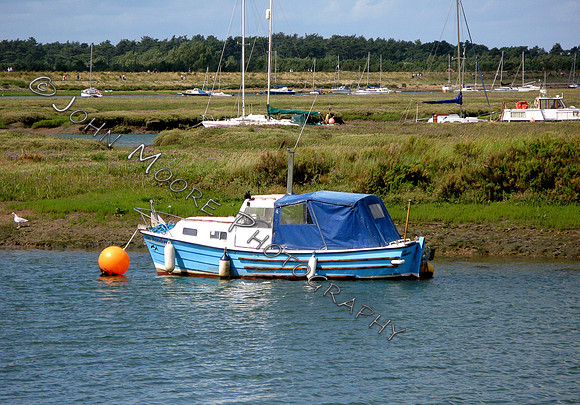 IMG_0010i