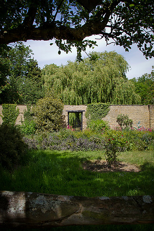 JWM_7134