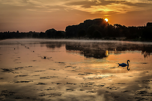 A91C0082-Edit