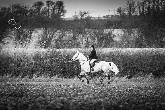 IMG_9335