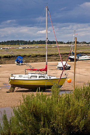 IMG_7390i