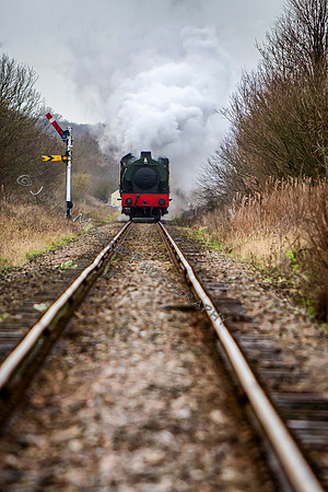 IMG_9800-Edit