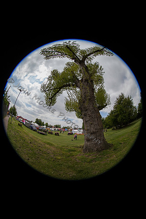 Yaxley Festival