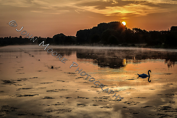 A91C0082-Edit