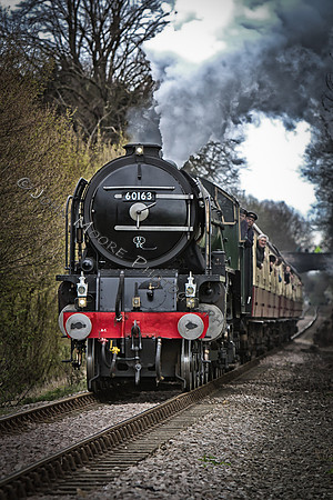 IMG_7156-Edit