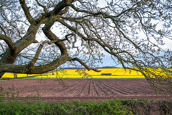 IMG_7336-Edit