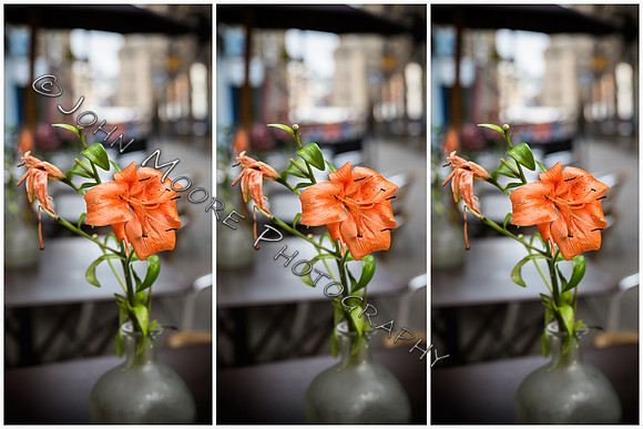 _MG_7737-Edit