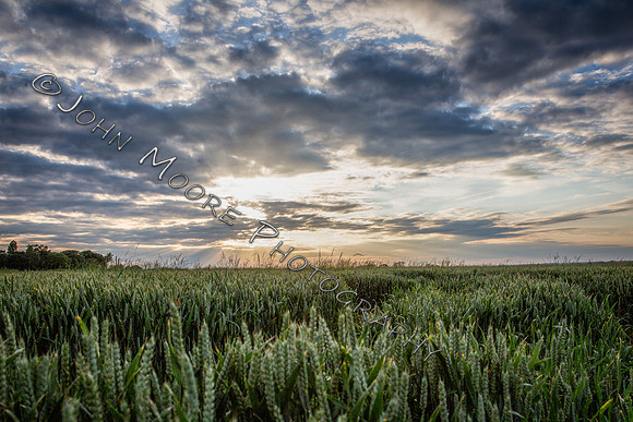_MG_0769-Edit