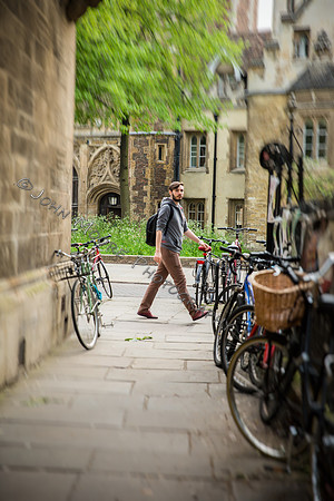 _MG_7798-Edit