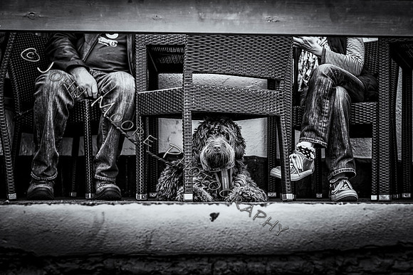 _MG_2402-Edit-Edit