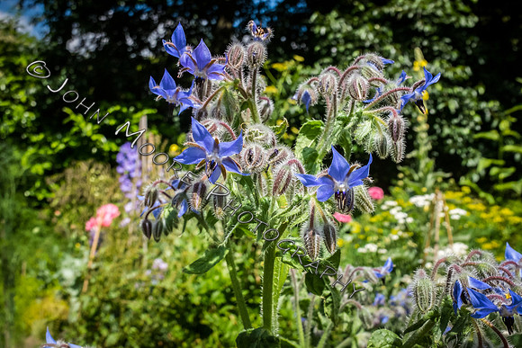 DSCF0355