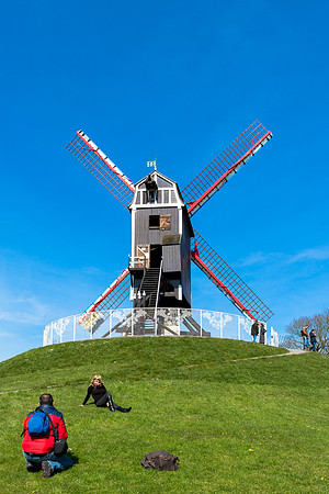 _MG_6019