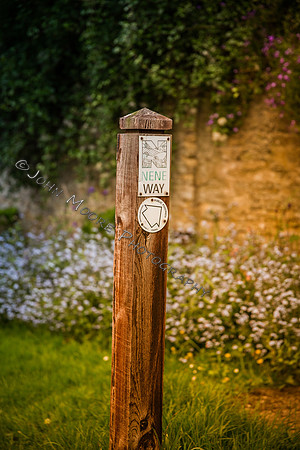 _MG_8536-Edit