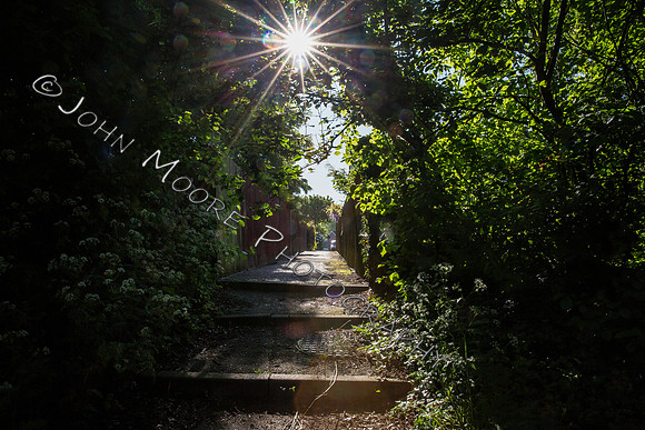 _MG_9194-Edit